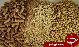 افزایش قیمت مواد پروتئینی در پی تغییر در نهاده‌های کشاورزی