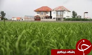 جلوگیری از تغییر کاربری اراضی کشاوری نیازمند حمایت دولت