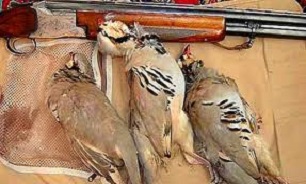 2 متخلف شکار و صید در سقز دستگیرشدند