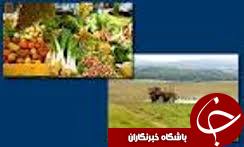 راه اندازی اولین شرکت شهرک های کشاورزی در گلستان