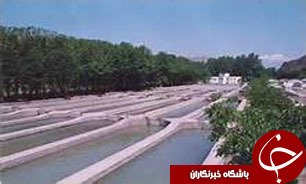 ابتکار جالب کشاورز گیلانی