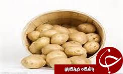 20هزار تن افزایش صادرات سیب زمینی در گلستان نسبت به سال گذشته