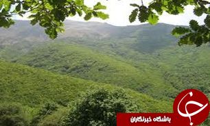 برگزاری نشست شورای حفظ حقوق بيت المال در اراضی ملی و منابع طبيعی