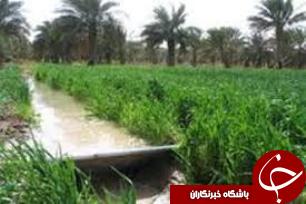انتقاد عضو کمیسیون انرژی مجلس به وزارت نیرو