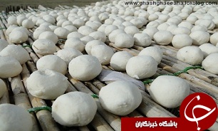 قیمت کشک پاستوریزه در بازار