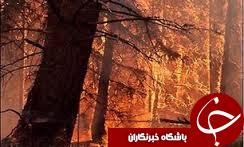 حضور معاون رئیس جمهور در مانور اطفای حریق جنگل گلستان