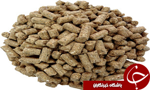 توزیع 1600 تن سبوس و 6 هزار تن کنسانتره یارانه ای  در گرگان