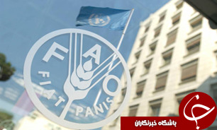 توافقنامه همکاری ایران و فائو برای مقابله با خشکیدگی جنگل‌های بلوط