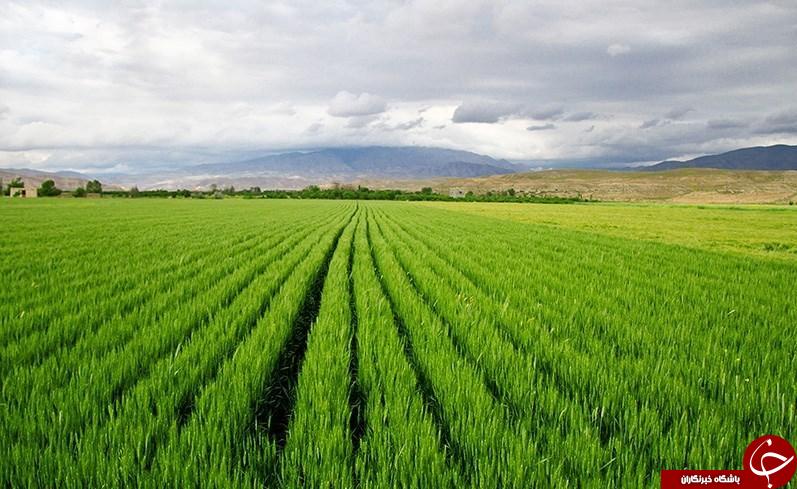 طبیعت بهاری خراسان شمالی به روایت تصویر