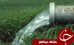 هشدار مسئولان برای صرفه جویی آب در بخش کشاورزی گلستان