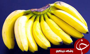 واردات موز 33 میلیون دلار هزینه برد