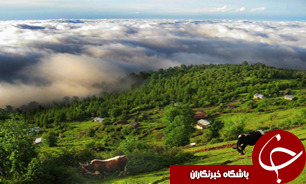 کلاردشت متعلق به همه مردم ایران