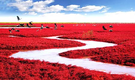 تصاویری از مکانهای عجیب و دیدنی روی کره زمین