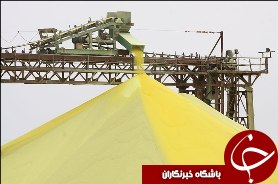 بومي سازي تولید گوگرد کشاورزی در کشور