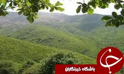کشت 510 هکتار  نهال آتریپلکس از مراتع گلستان