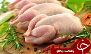 قیمت مرغ افزایش یافت/ فروش جوجه&zwnj;کباب زعفرانی بدون بسته&zwnj;بندی مجاز نیست