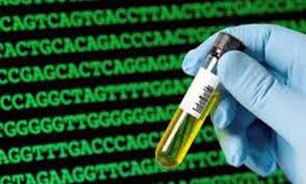 خدمات آزمایشگاهی مورد کم لطفی قرار گرفته است