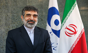 نحوه بازرسی از تاسیسات هسته‌ای از زبان سخنگوی سازمان انرژی اتمی + فیلم