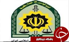 کشف 2 تن چوب قاچاق در رشت
