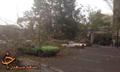 خسارت طوفان به 615 هکتار از مزارع جو و گندم شهرستان فردوس