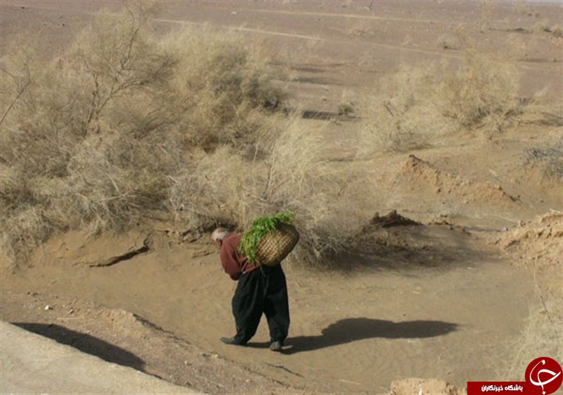 روستایی عجیب که تنها یک ساکن دارد + تصاویر