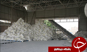 مازندران پایلوت کیفیت آرد و نان