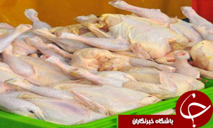 ذخیره 300 تن گوشت مرغ در سردخانه&zwnj;های خراسان جنوبی