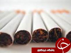 کشف بیش از 49 هزار نخ سیگار قاچاق در آستارا