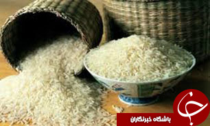 افزایش قیمت برنج ایرانی/ پرداخت یارانه به تولیدکنندگان جهت جبران افزایش هزینه‌های تولید