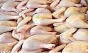 زنجیره مدیریت تولید مرغ