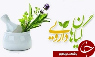 طرح کشت گیاهان دارویی جدید در سیرجان