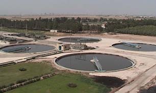 استفاده از ماده ای بدبو اما قیمتی + فیلم