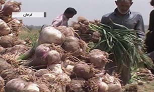 سیر بر روی سکوی قهرمانی کرمان + فیلم