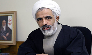 رژیم جدید عربستان دچار ناپختگی سیاسی است/ اعدام شیخ نمر تاوان سختی برای سعودی دارد