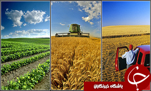 ضرورت اطلاع رسانی به موقع برای بيمه محصولات بهاره