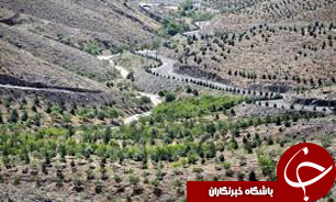 ایجاد گروه&zwnj;های مهار آتش در نقاط حساس جنگلی کشور