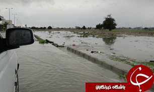 خسارت بیش از 12 میلیارد تومانی سیل به کشاورزان کلات