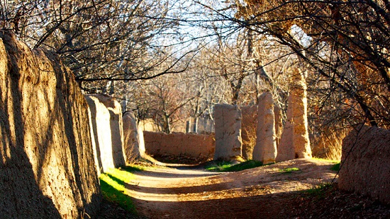 ////////////محسنی/باشگاه شبانه