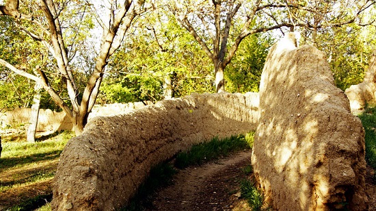 ////////////محسنی/باشگاه شبانه