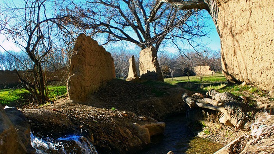 ////////////محسنی/باشگاه شبانه