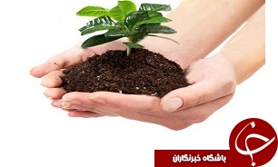 عرضه محصول ارگانیک با یک چهارم قیمت جهانی به بازار