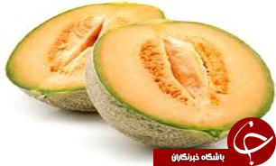 بیش از 10 تن طالبی خارج از فصل از مزارع ایرانشهر روانه بازارمی شود