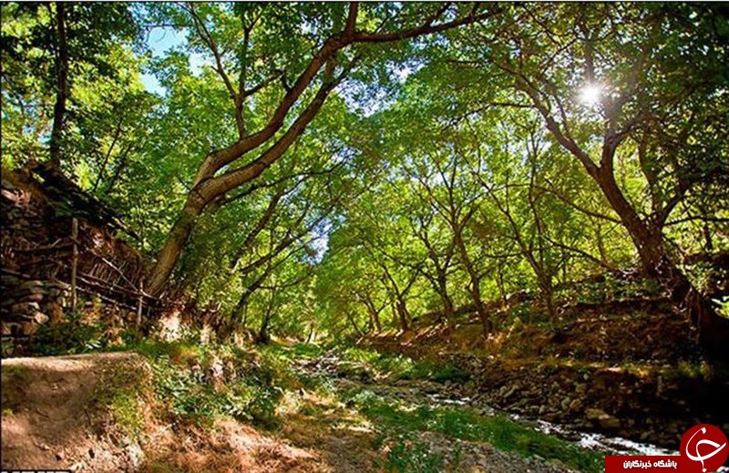 منحصر به فرد ترین آبشار ایرانی