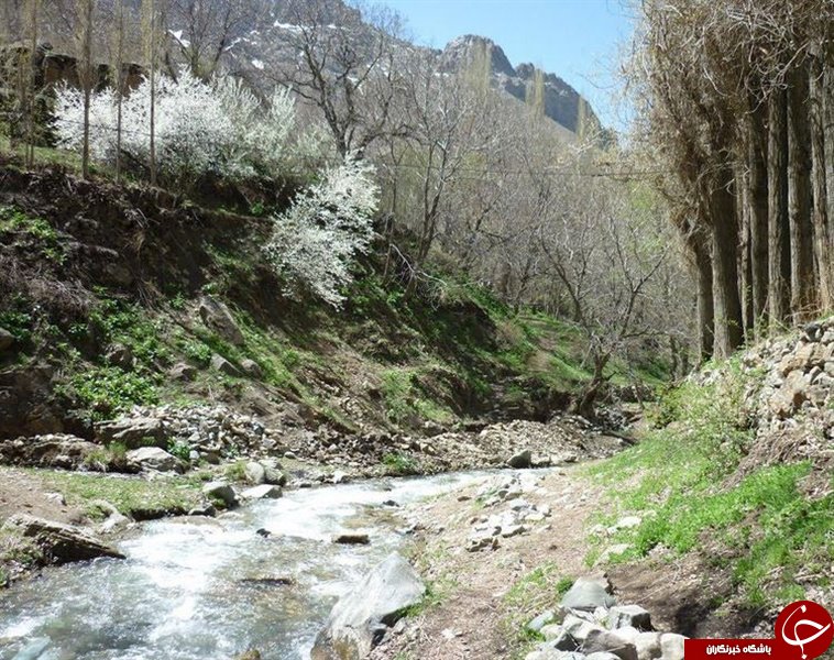 منحصر به فرد ترین آبشار ایرانی