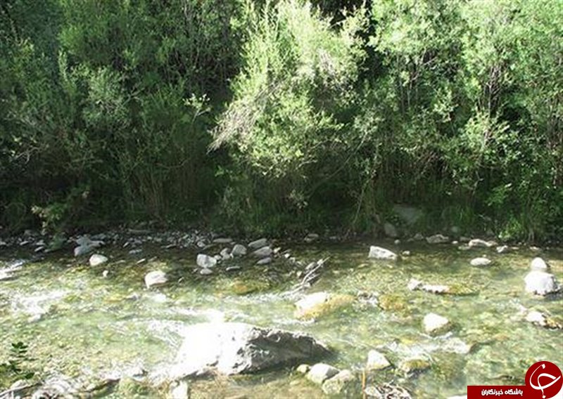 منحصر به فرد ترین آبشار ایرانی