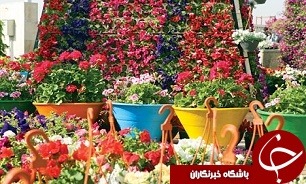 بازار گل وگیاه به جاده امام رضا می‌رود