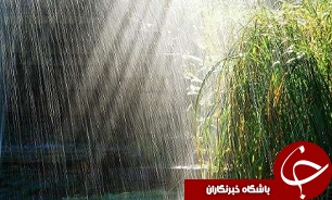 افزایش بارندگی و احیای کشت دیم در خراسان رضوی