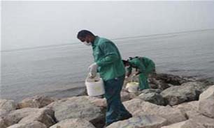طعمه گذاری بیش از ۵ هکتار از فضا ی سبز نوار ساحلی بندرعباس