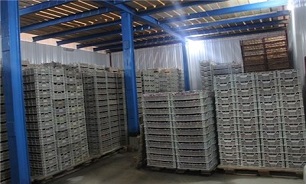 احداث سردخانه صنعتی با ظرفیت 3 هزار تنی در گرمی