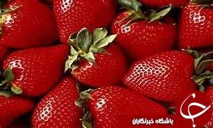 برگزاری جشنواره توت فرنگی در شهرستان صومعه سرا